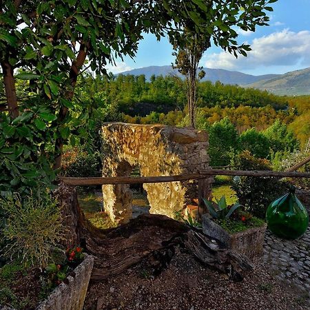 Tenuta Di Vico Moricino Ананьи Экстерьер фото