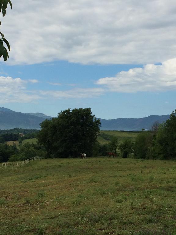 Tenuta Di Vico Moricino Ананьи Номер фото