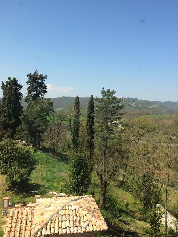 Tenuta Di Vico Moricino Ананьи Номер фото