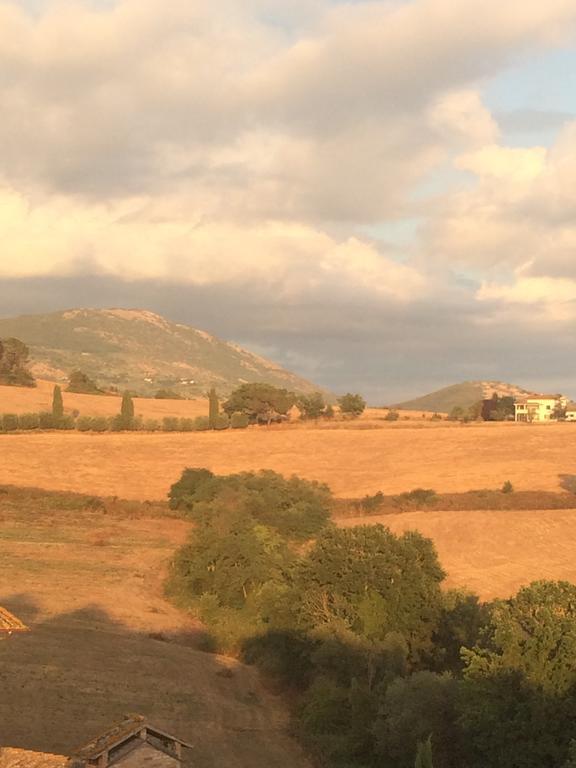 Tenuta Di Vico Moricino Ананьи Экстерьер фото