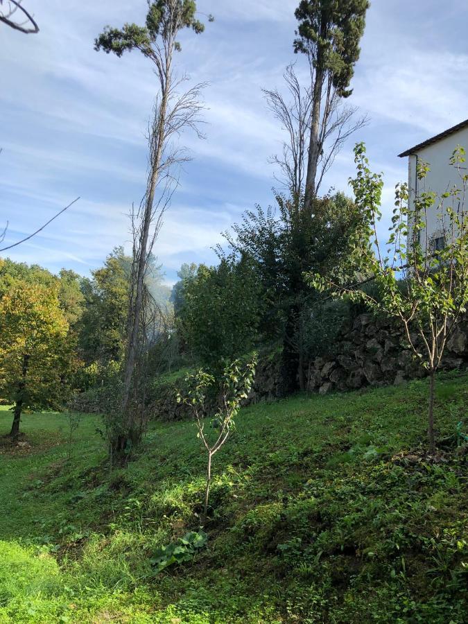 Tenuta Di Vico Moricino Ананьи Экстерьер фото